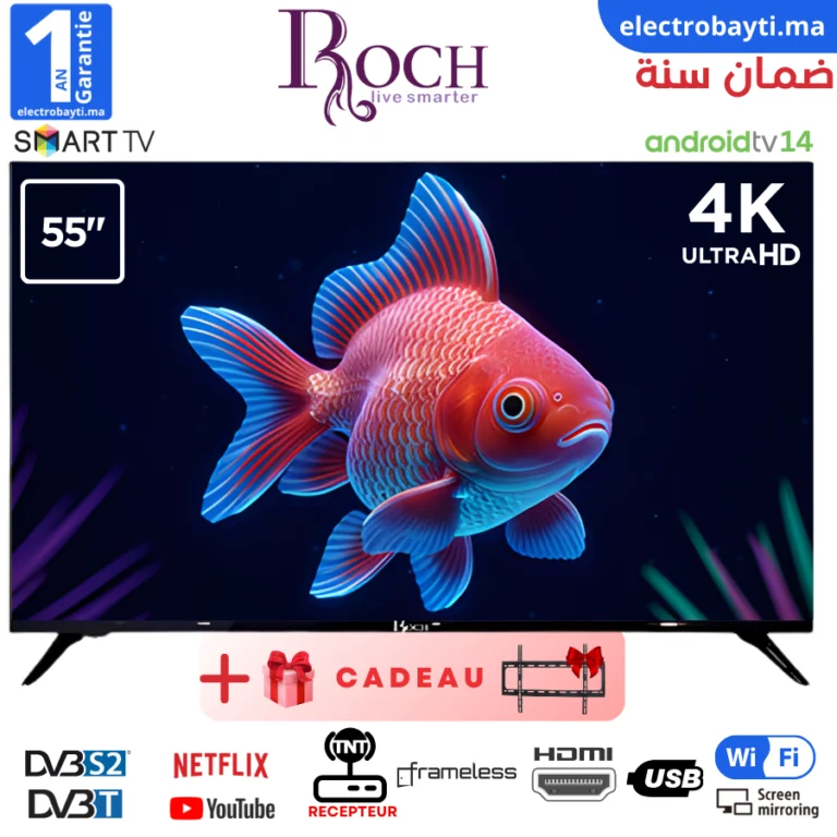 Roch-RH-LE55DSV-C-Maroc